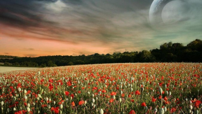 如何评价“寡姐”斯嘉丽·约翰逊的身材？